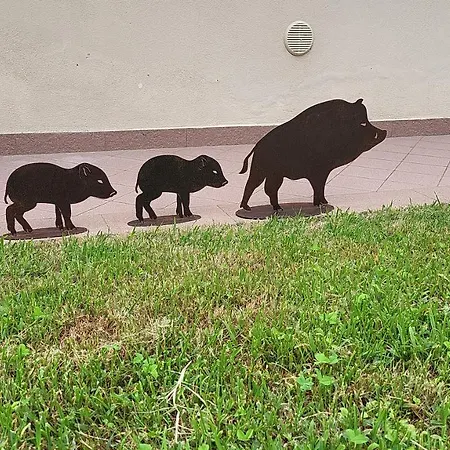 Romantica Casa Vacanza Direttamente In Piscina Castiglione del Lago